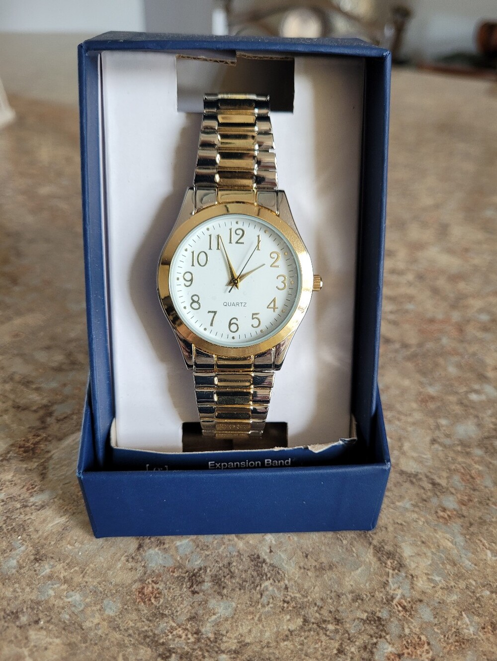 George Quartz Two-Tone Stainless Steel Watch with Expansion Band
